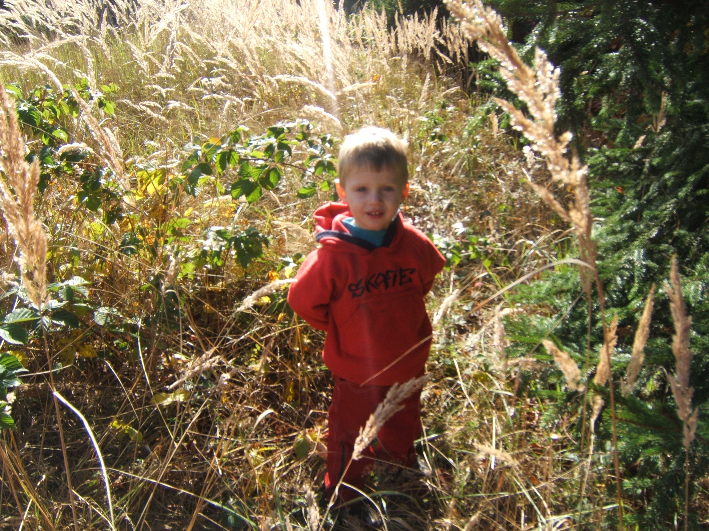 DSCF4540.JPG
