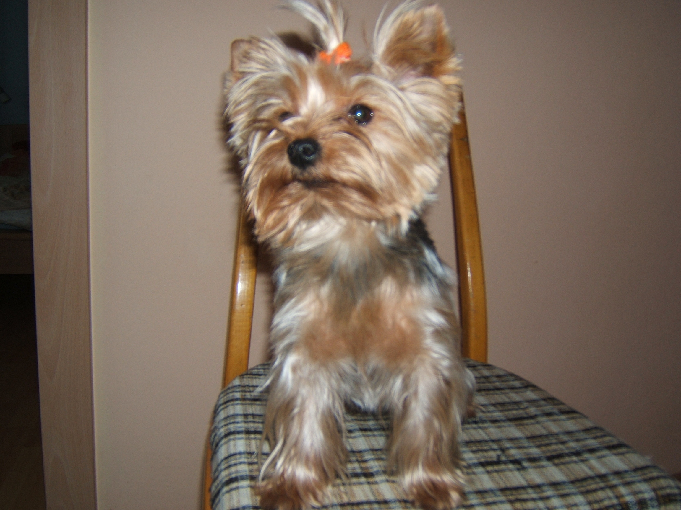 DSCF4594.JPG