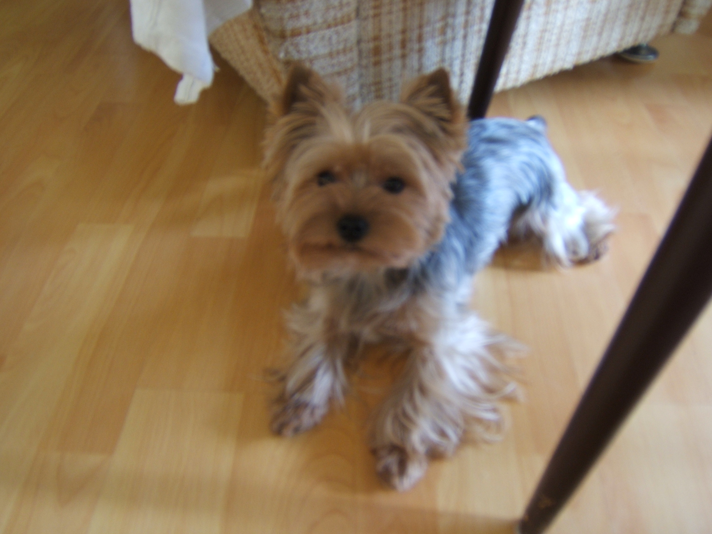 DSCF4613.JPG