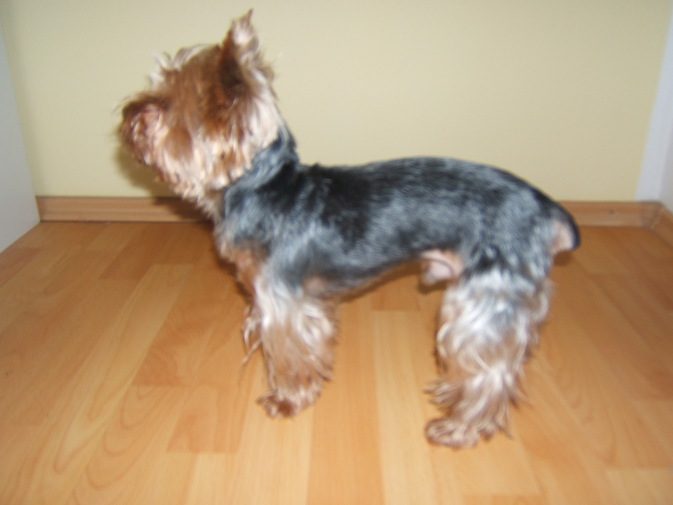 DSCF4692.JPG