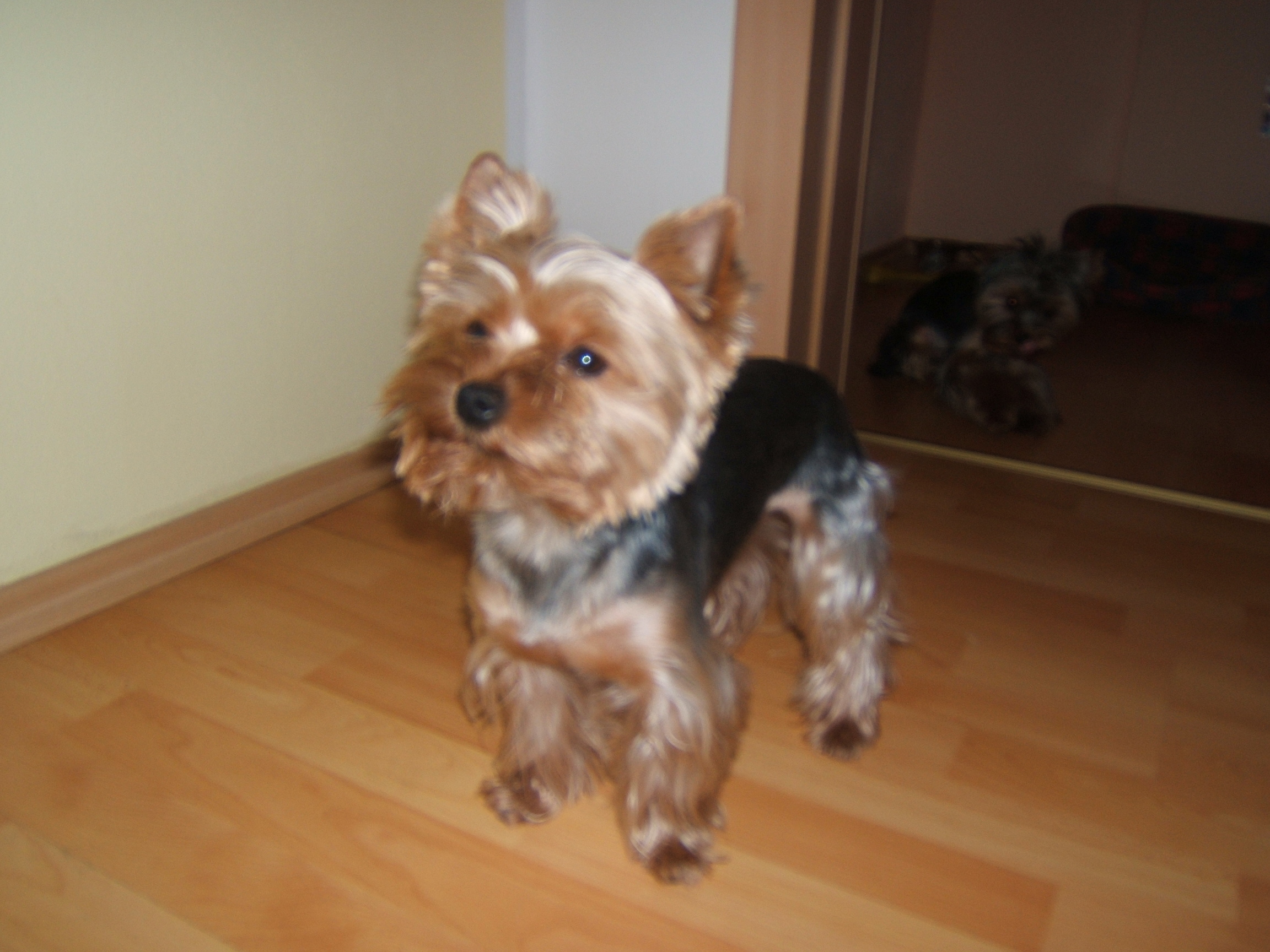 DSCF4693.JPG