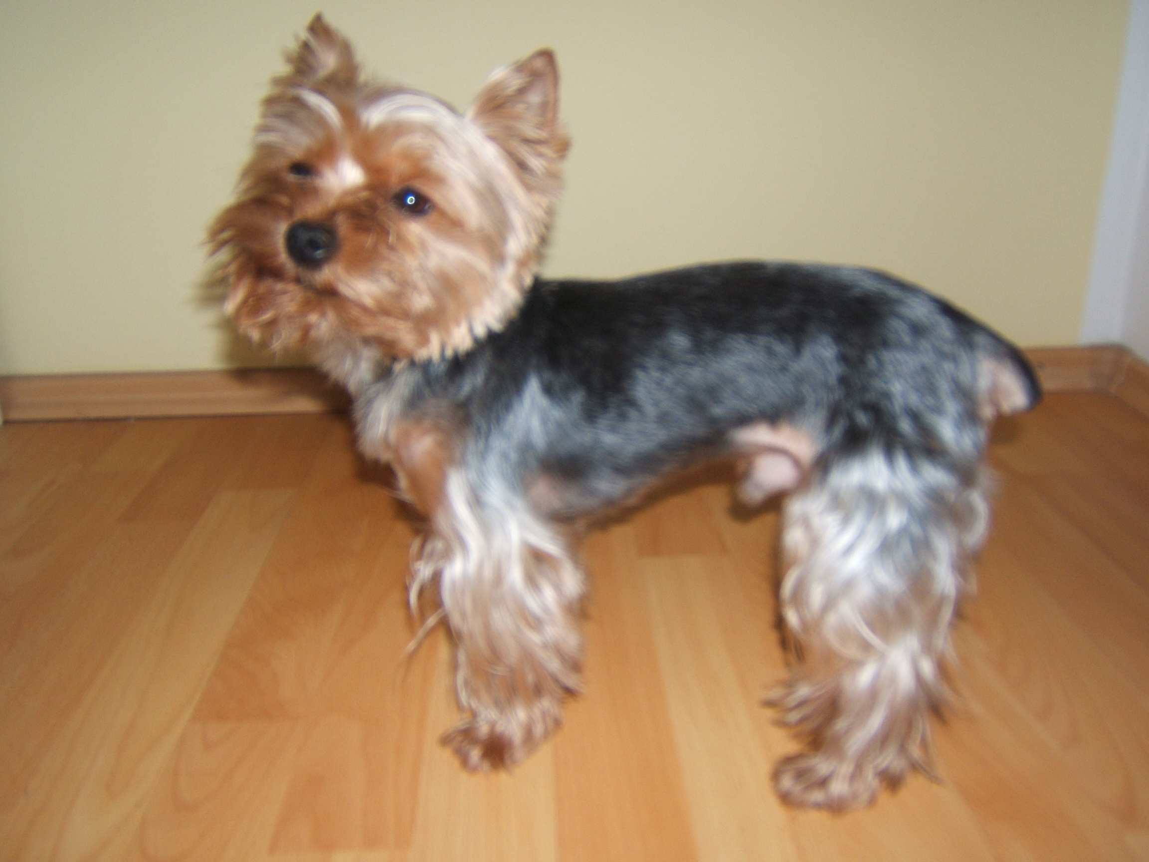 DSCF4694.JPG