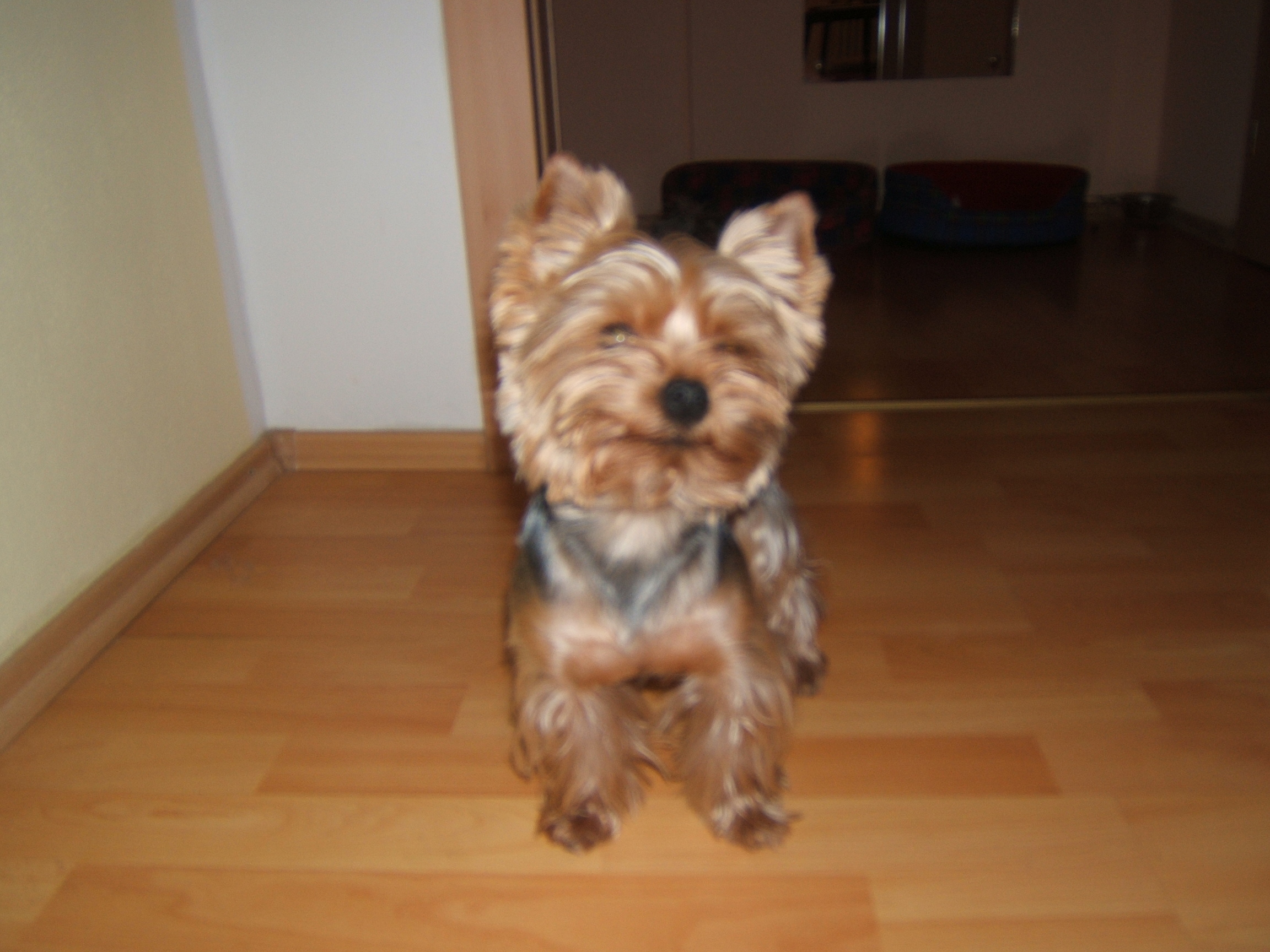 DSCF4696.JPG
