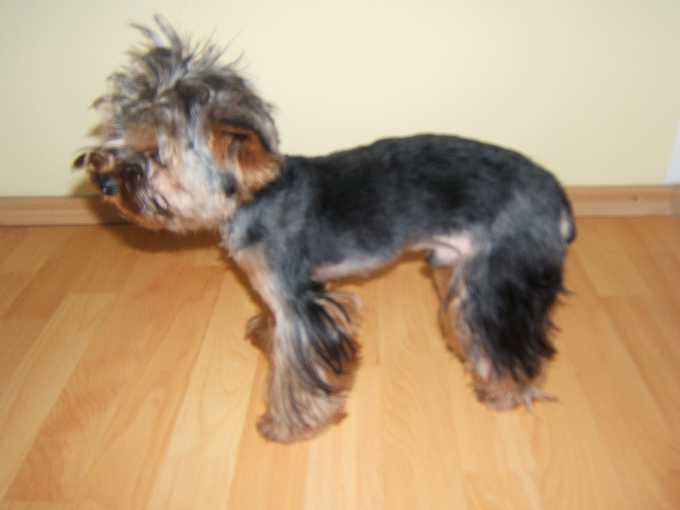 DSCF4697.JPG
