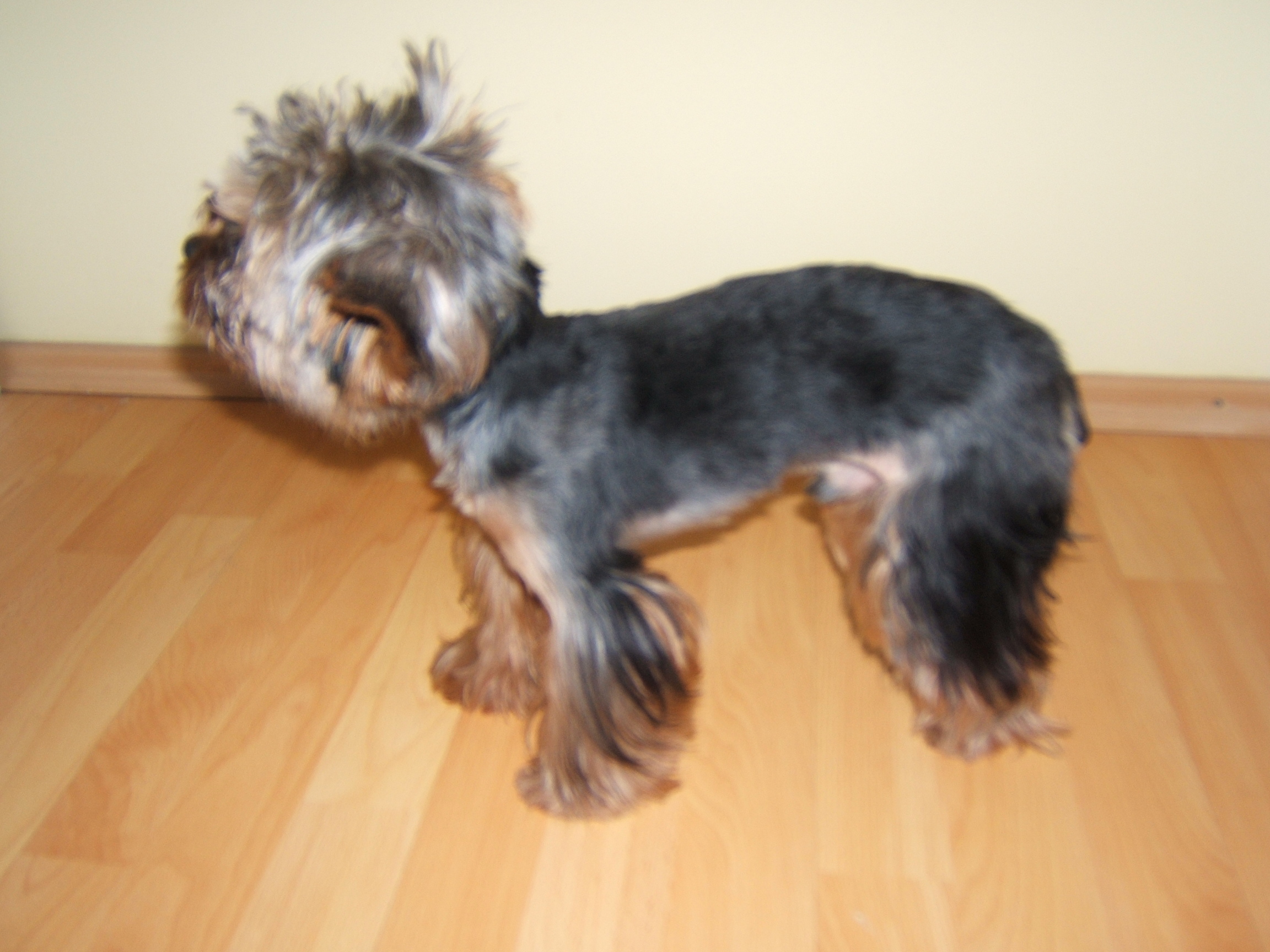 DSCF4698.JPG
