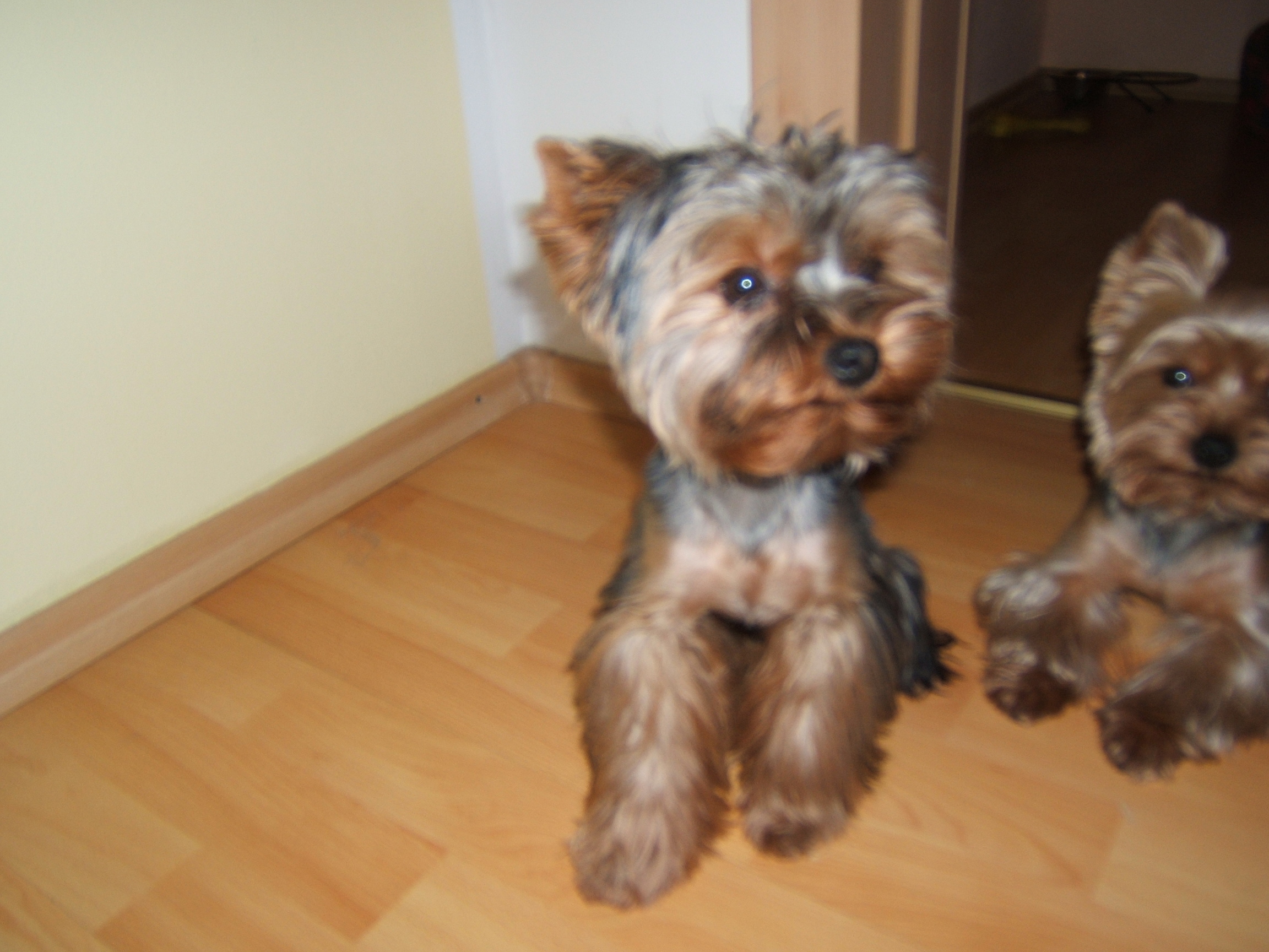 DSCF4699.JPG