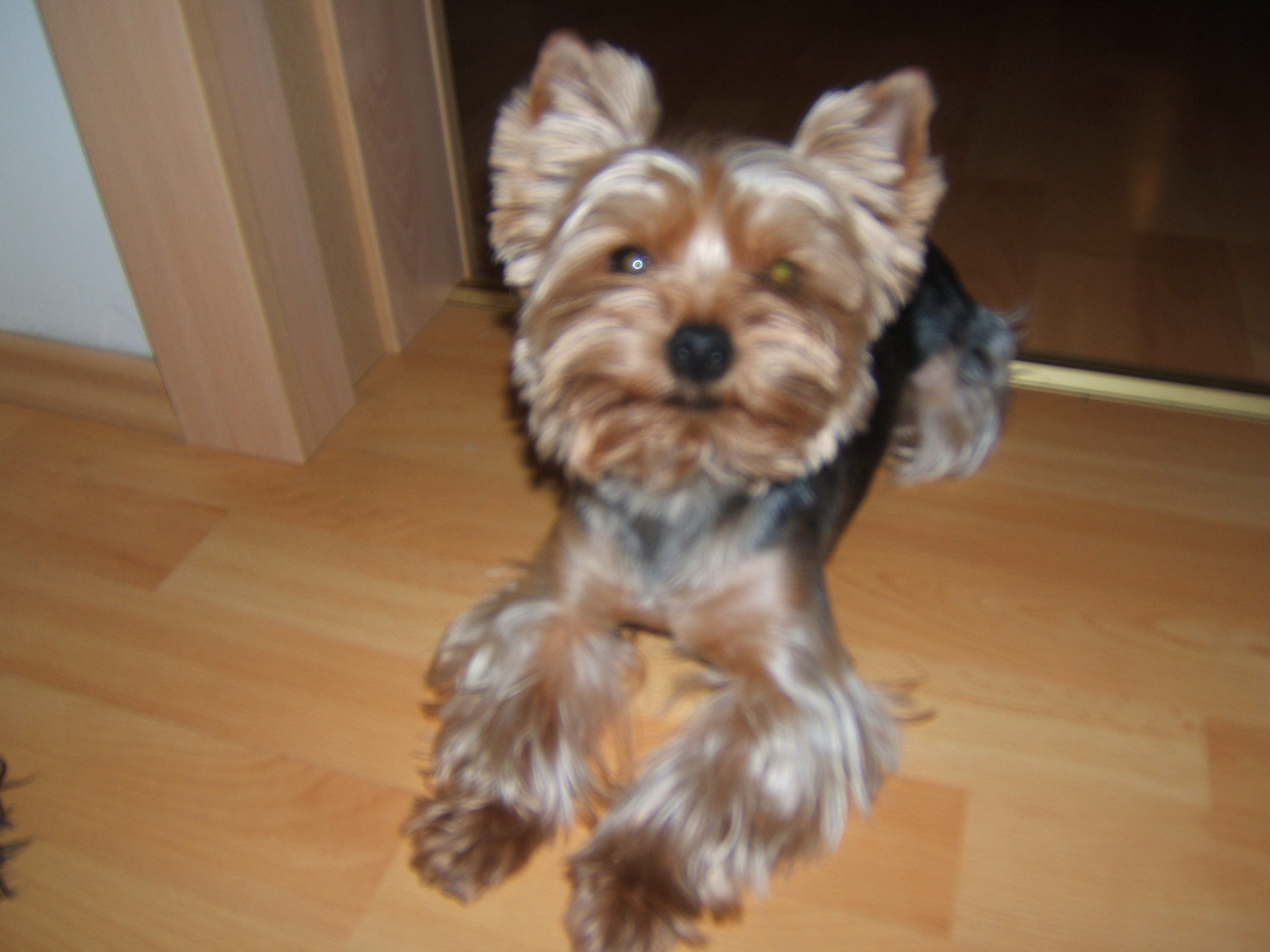 DSCF4702.JPG