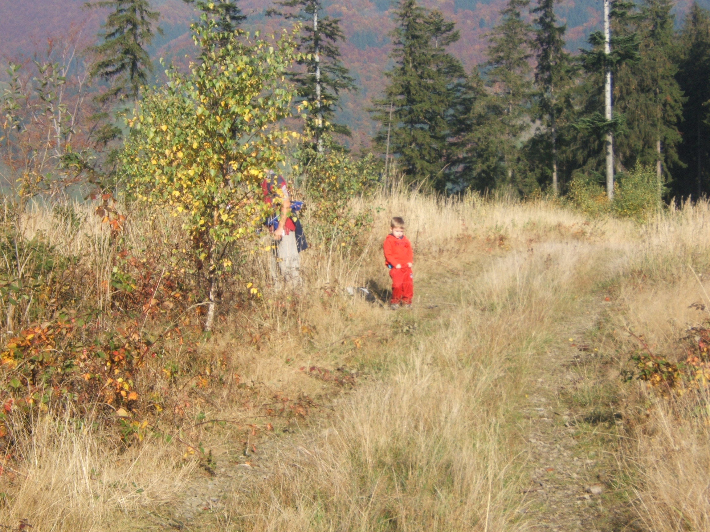 DSCF4526.JPG