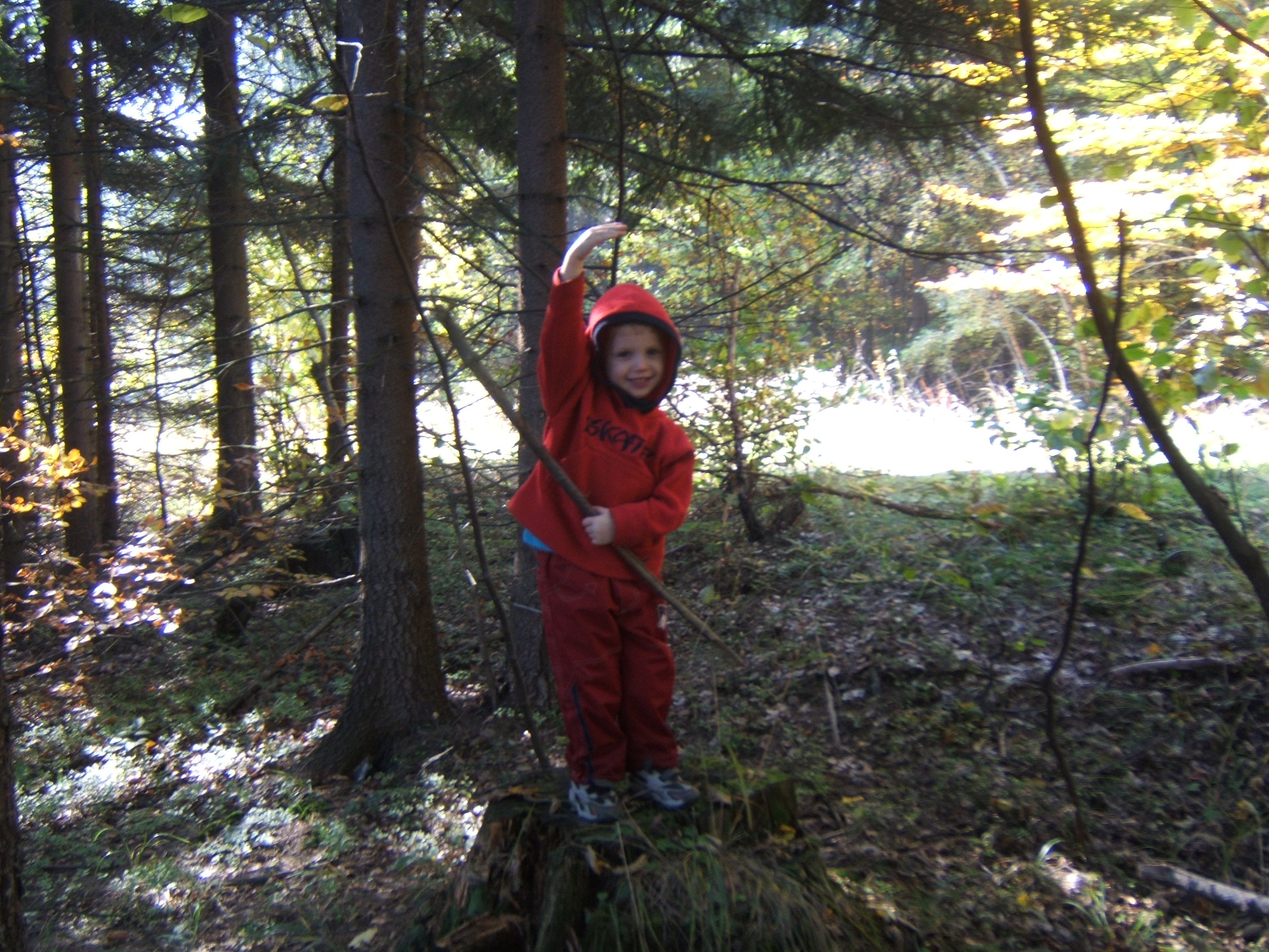 DSCF4531.JPG